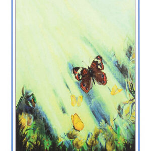 SOAR WITH ME C-B-308