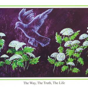 THE WAY , THE TRUTH , THE LIFE C-DF-305